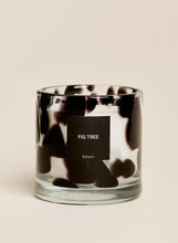 Load image into Gallery viewer, Fig Tree