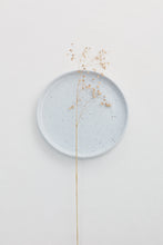 Load image into Gallery viewer, MIST Small Plate