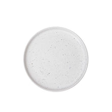 Load image into Gallery viewer, SALT Large Plate