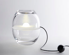 Load image into Gallery viewer, Avocado