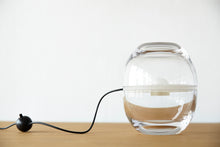 Load image into Gallery viewer, Avocado