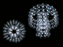 Load image into Gallery viewer, BUBBLES Chandelier