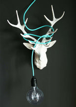 Load image into Gallery viewer, Cable One