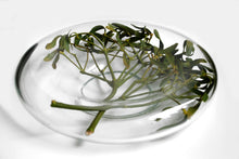 Load image into Gallery viewer, Kluka