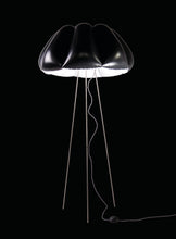 Load image into Gallery viewer, ORCA