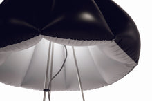 Load image into Gallery viewer, ORCA