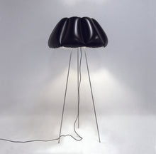 Load image into Gallery viewer, ORCA