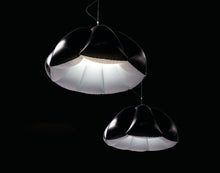 Load image into Gallery viewer, ORCA