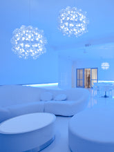 Load image into Gallery viewer, STAR