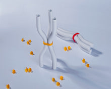 Load image into Gallery viewer, Trorka Vase